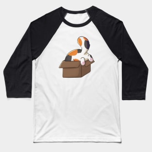 Funny And Cute Calico Cat In Box Baseball T-Shirt